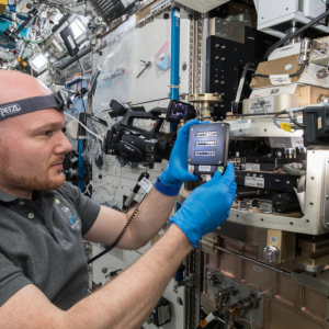 European Space Agency (ESA) astronaut Alexander Gerst holds up an ACE cartridge as he configures the Light Microscopy Module (LMM) for Advanced Colloids Experiment-Temperature-7 (ACE-T-7).