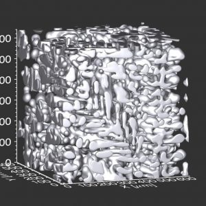 Time-dependent evolution of the structures in three dimensions in situ through X-ray microtomography. (Image Credit Peter Voorhees, Northwestern University)