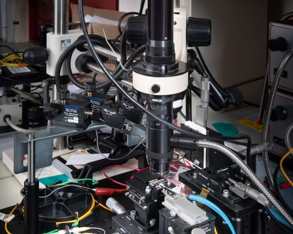 Integrated photonic chips beneath a microscope objective