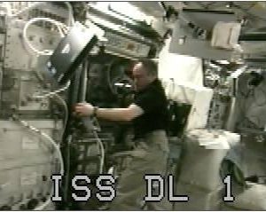Video screenshot of Increment 18 astronaut Mike Fincke setting up the InSPACE-2 hardware in the Microgravity Science Glovebox. (NASA)