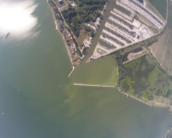 Lake Erie western basin July 22, 2014