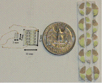 Photo of two nitrogen oxide electrochemical cell sensors, one 4 millimeters by 3 millimeters and one 12 millimeters by 10 millimeters with a quarter for comparison.
