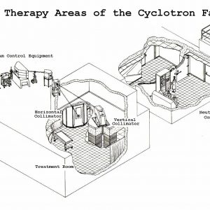 Diagram of neutron therapy areas.