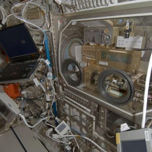 View of the Microgravity Sciences Glovebox (MSG) in th European Lab, Columbus. The Shear History Extensional Rheology Experiment (SHERE) rheometer is inside the MSG.
