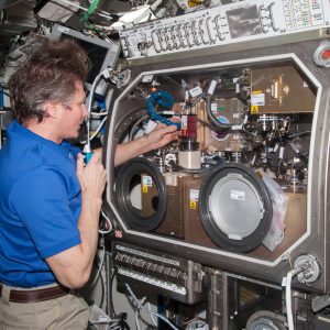 Cosmonaut Gennady Padalka aligns the Observation and Analysis of Smectic Islands in Space (OASIS) Macro Camera.